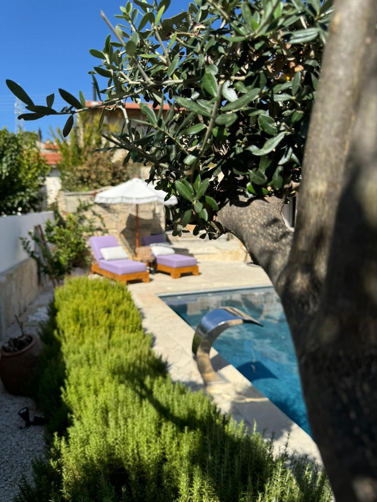 Fig&Olive Luxury One Bedroom Boutique In Pachna Limassol Luaran gambar