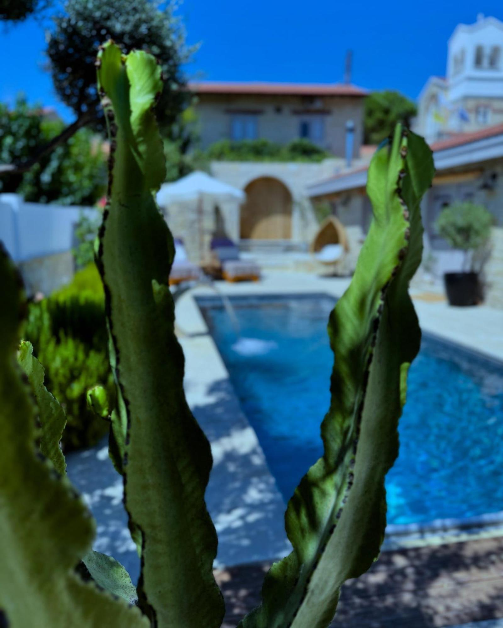 Fig&Olive Luxury One Bedroom Boutique In Pachna Limassol Luaran gambar